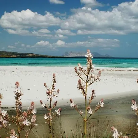 Tatil Evi A 200 Metri Dalla Budoni