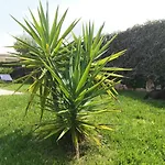 Tatil Evi A 200 Metri Dalla Budoni