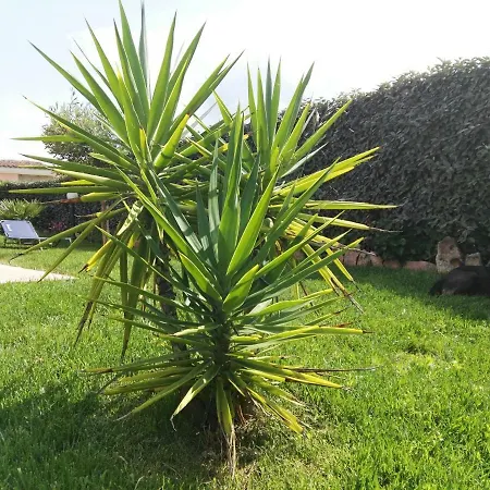 度假居 A 200 Metri Dalla 布多尼