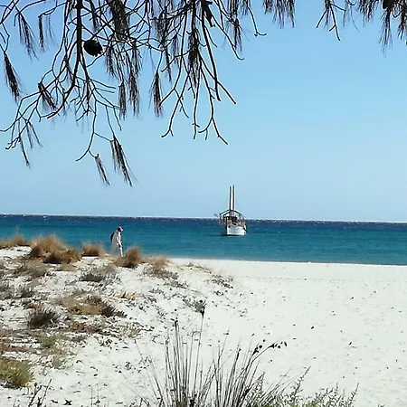 Casa vacanze A 200 Metri Dalla Budoni