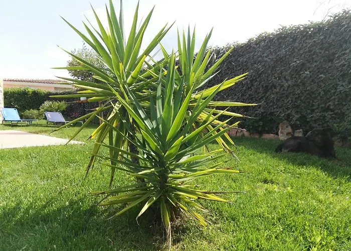 Vakantiehuis A 200 Metri Dalla Budoni